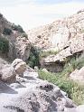 Dsck0169 (83)